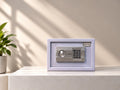 Safeway Digital Safe Locker EG-20
